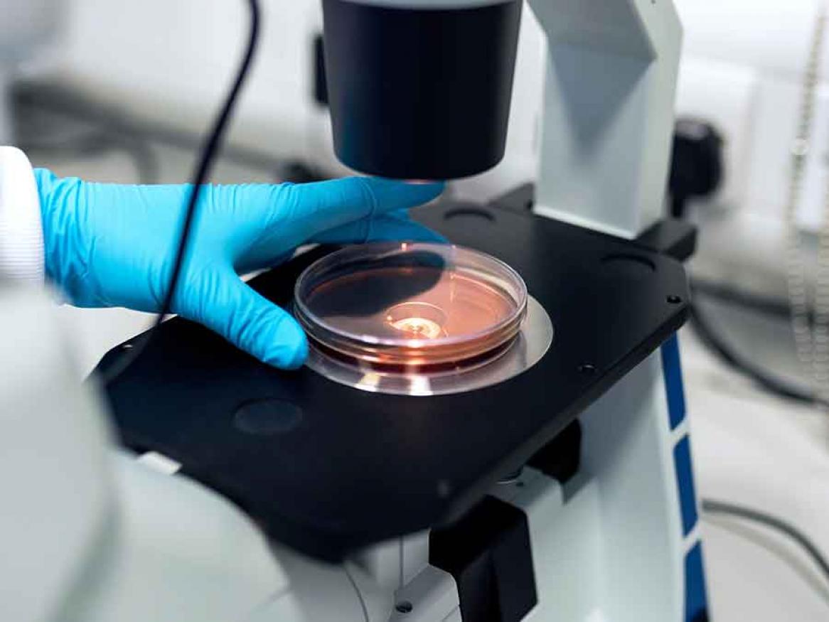 Biomedical Engineering